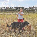 Vanesa Expósito saca cada día a sus ovejas. Unas 300 contando a las parideras que cuando dan a luz no salen
