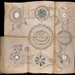Manuscrito de Voynich / Foto: Universidad de Bristol