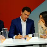 Ejecutiva de Ciudadanos reunida hoy en Madrid/C. Pastrano