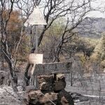 El perímetro afectado es de unas 600 hectáreas, aunque no se quemó todo