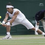 A sus 28 años, el objetivo prioritario para Nadal es conquistar Wimbledon por tercera vez.