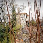 El chalé de los «Romanones» está ubicado en la calle V Centenerio en Pinos Genil (Granada)