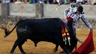 Morante, al natural en Ronda