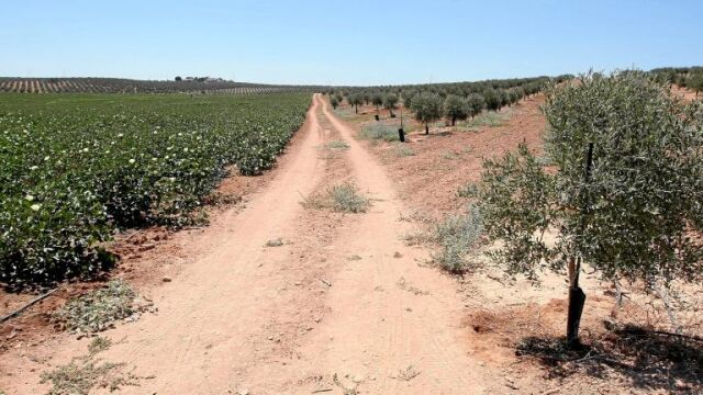 La asociación reclama un pacto político por la agricultura