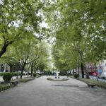 Relacionarse con espacios verdes mejora la salud