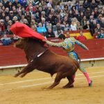 El tapado era el monosabio