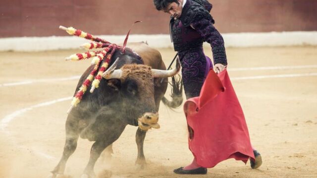 El torero aragonés Luis Antonio Gaspar "Paulita", triunfador de la tarde tras cortar dos orejas, con la muleta durante la faena a uno de sus toros