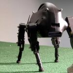Así son los robots que ha comprado Google
