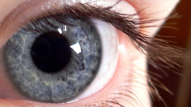 Las retinas vivas son ‘inteligentes’, puesto que sólo captan nuevas imágenes si hay variaciones o movimiento