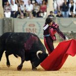 Cayetano, en una imagen de archivo