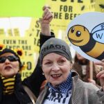 Entra en vigor el veto en la UE a varios pesticidas nocivos para las abejas