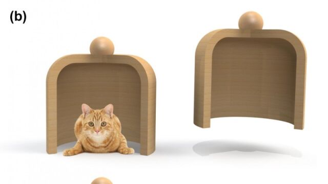 Dos contenedores, y un gato bajo uno de ellos (a). Levantamos el derecho (b) y vemos que está vacío. Concluimos ue el gato debe estar bajo el izquierdo, para lo cual no le hemos perturbado. Si hubiéramos levantado el izquierdo sí le habríamos perturbado (c), y la medida habría sido descartada. En el mundo macro-realista, un sistema de medidas como este no habría tenido efecto en el estado del gato. En el cuántico una medida ‘negativa’ que revele la posición del gato de forma indirecta, como es (b), es suficiente para destruir la superposición cuántica e influir en el resultado. Los científicos de Bonn han observado este efecto