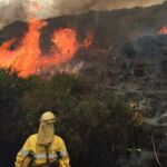 Los miembros del Infoca luchan contra el fuego en Mijas.