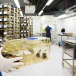 Instalaciones del animalario del Parque de Investigación Biomédica de Barcelona (PRBB)
