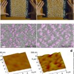 En la parte de arriba, una hoja de papel que simula la nanomalla de oro. En las otras imagénes, las nanomallas según el estiramiento al que son sometidas