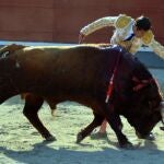 Natural de David Mora al tercer toro de Pedraza de Yeltes, premiado con la vuelta al ruedo