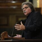 El diputado de Esquerra Republicana en el Congreso Joan Tardà