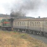 DEVORADOS POR LAS FIERAS. El tren atraviesa el Parque Nacional de Tsavo, donde dos leones devoraron a 132 hombres durante las obras de construcción de la línea