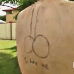 Imagen de la espalda tatuada de la víctima