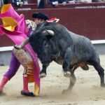 Toro de José Escolar lidiado en Las Ventas en 2011