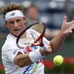 El extenista argentino David Nalbandian.