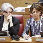 La consejera Goicoechea y Barcina, presidenta navarra