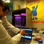 Dos técnicos del proyecto, en un momento de la investigación