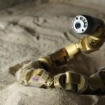 Los investigadores implementan el sidewinding en robots para que repten sobre la arena sin hundirse