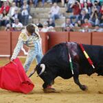 Derechazo de Lama de Góngora, esta tarde en La Maestranza