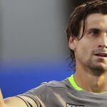 David Ferrer celebra su victoria ante el sudafricano Kevin Anderson. Efe