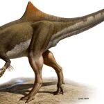 Imagen del dinosaurio carnívoro Concavenator corcovatus (el cazador jorobado de Cuenca)