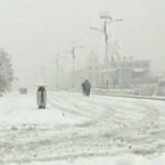 Nevada primaveral en Mongolia