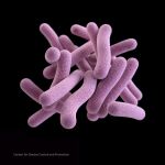 Microbacteria causante de la tuberculosis