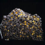 Meteorito con incrustaciones cristalinas en el metal, que se ha utilizado para investigar el magnetismo de cuerpos del sistema solar de hace 4,6 miles de millones de años