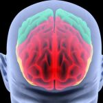 El síntoma poco conocido que "anuncia" que podrías sufrir Alzheimer en unos años
