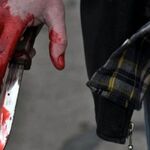 Tres meses de cárcel por apuñalar a un perro para amedrentar a su mujer