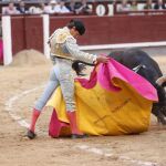 Lama de Gongora en imagen de archivo