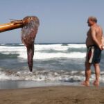Una medusa sacada con un palo en la playa de la isleta del Moro, en el parque natural de Cabo de Gata-Nijar (Almería).