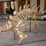 Estegosaurio