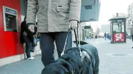 En la imagen, una persona invidente ayudada por un perro guía