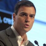Pedro Sánchez,, interviene durante la inauguración del IX Congreso Estatal de Unidad Progresista, hoy en Madrid.