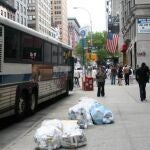 El equipo muestreó artrópodos –como insectos y milpiés– en las calles y parques de Manhattan