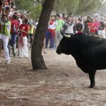 Última edición del Torneo del Toro de la Vega