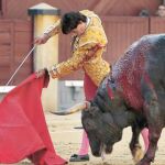 Curro Díaz remata una tanda de muletazos, ayer, en Las Ventas