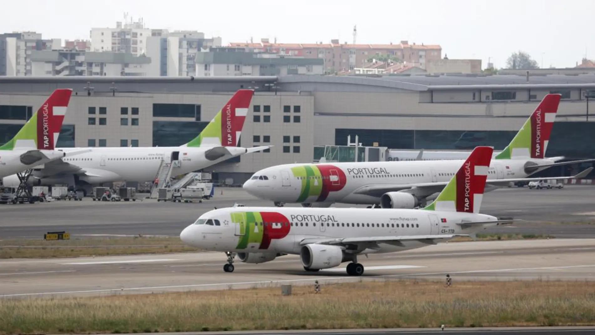 El Gobierno luso busca comprador para la aerolínea