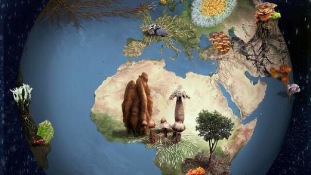 El reino de los hongos es uno de los grupos de organismos más diversos de la Tierra