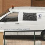 Vehículo que trasladó al perro "Excalibur"para su sacrificio desde la vivienda de Teresa Romero.