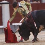 Tulio Salguero, en la plaza de toros de Las Ventas