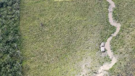 Deforestación en la selva del Amazonas. La industria maderera ha talado zonas de la selva con gran interés ecológico.