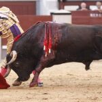 Derechazo del diestro vasco a uno de los dos sobreros que lidió ayer en Madrid